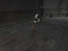 A panda in Jeuno O.o