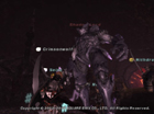 Shadowlord fight